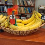 Na ladzie leży kosz z bananami, pilnowanymi przez papugę z rolki po papierze toaletowym oraz dwa talerzyki z małymi stateczkami wykonanymi z korków. W tle regał biblioteczny z książkami