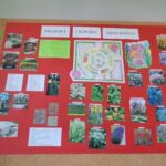 Projekt ogrodu ziołowego na czerwonym plakacie