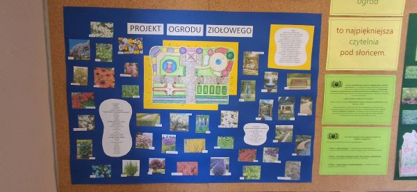 Projekt ogrodu ziołowego